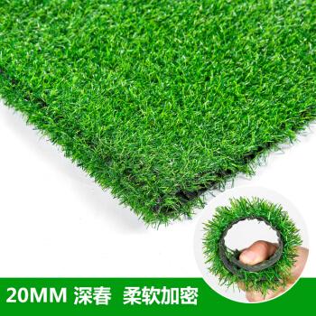 仿真草坪人造草坪塑料人工假草皮阳台幼儿园楼顶绿色地毯垫子装饰 2