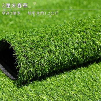 仿真草坪人造草坪幼儿园草坪地毯人工草皮假绿植塑料户外楼顶装饰2cm